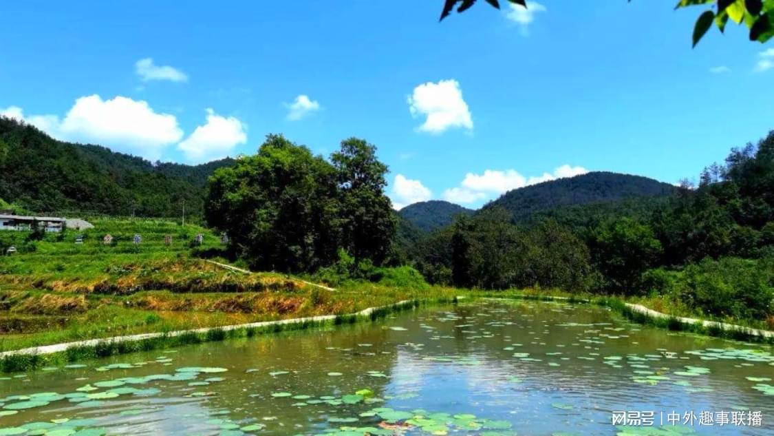 美企老板说还不如一把火烧了库存