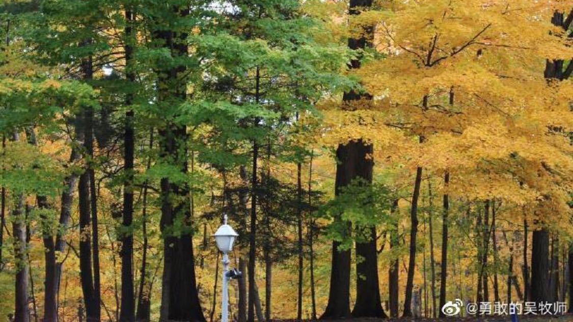 王勉发出婚礼邀请