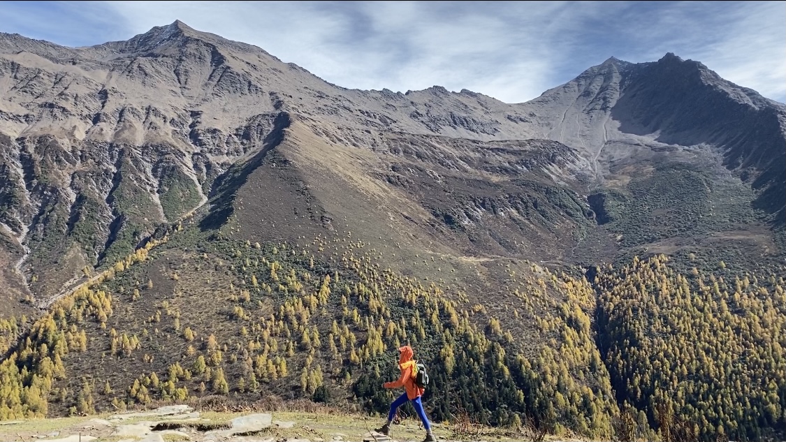 金秀贤起诉金赛纶家属赔偿120亿